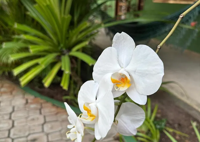 Pousada Recanto Verde E Mar Araruama